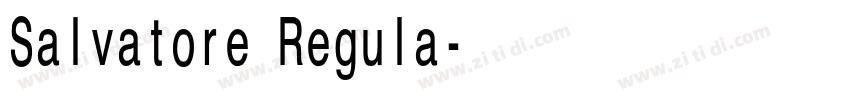 Salvatore Regula字体转换